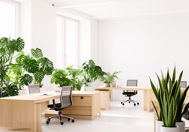 Oficina moderna y luminosa con plantas naturales